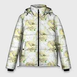 Куртка зимняя мужская Маленькие птички, цвет: 3D-черный