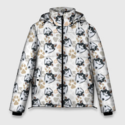 Куртка зимняя мужская Собака Сибирский Хаски, цвет: 3D-черный