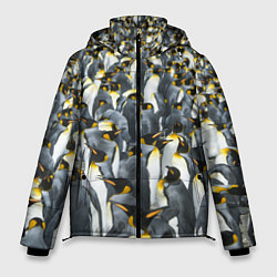 Мужская зимняя куртка Пингвины Penguins