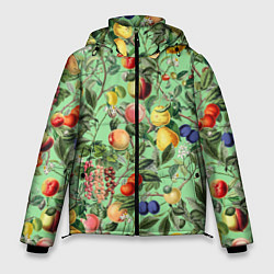 Куртка зимняя мужская Летнее Ассорти Фруктов, цвет: 3D-красный