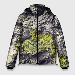 Куртка зимняя мужская Каменная Стена С Мхом, цвет: 3D-светло-серый
