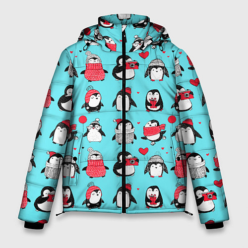 Мужская зимняя куртка PENGUINS ON THE POSITIVE / 3D-Черный – фото 1