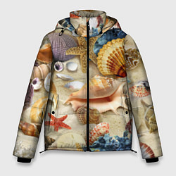 Куртка зимняя мужская Морские раковины, кораллы, морские звёзды на песке, цвет: 3D-красный