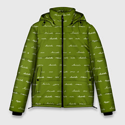Куртка зимняя мужская Зелёная любовь, цвет: 3D-светло-серый