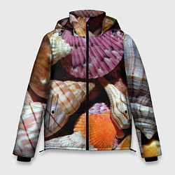Куртка зимняя мужская Композиция из океанских ракушек, цвет: 3D-светло-серый