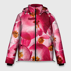 Куртка зимняя мужская Цветы бегония текстура, цвет: 3D-черный
