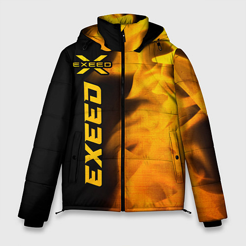 Мужская зимняя куртка Exeed - gold gradient: по-вертикали / 3D-Черный – фото 1