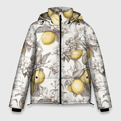 Куртка зимняя мужская Лимоны - винтаж графика: паттерн, цвет: 3D-светло-серый