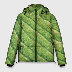 Куртка зимняя мужская Травяной паттерн, цвет: 3D-черный