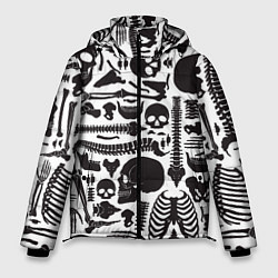 Куртка зимняя мужская Human osteology, цвет: 3D-красный