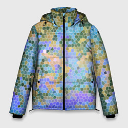 Куртка зимняя мужская Разноцветный витраж, цвет: 3D-светло-серый
