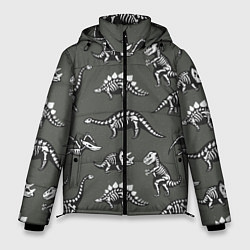 Куртка зимняя мужская Динозавры - скелеты, цвет: 3D-светло-серый