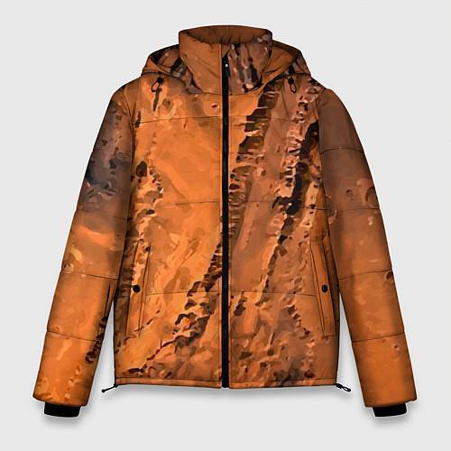 Мужская зимняя куртка Каналы на Марсе - star dust / 3D-Черный – фото 1