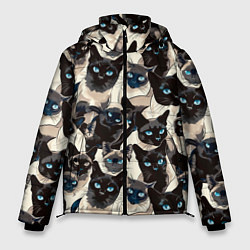 Куртка зимняя мужская Сиамские кошки, цвет: 3D-светло-серый