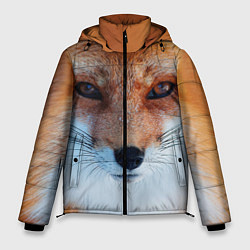 Куртка зимняя мужская Взгляд лисы, цвет: 3D-черный
