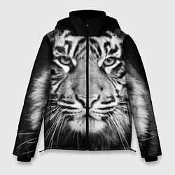 Мужская зимняя куртка Красавец тигр