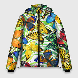 Куртка зимняя мужская Тропические бабочки, цвет: 3D-светло-серый
