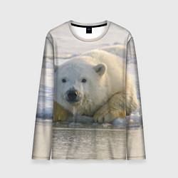 Мужской лонгслив Белый медведь ожидает