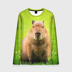 Мужской лонгслив Capybara on green grass