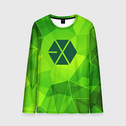 Мужской лонгслив Exo green poly