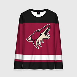 Мужской лонгслив Arizona Coyotes