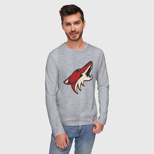 Мужской лонгслив Phoenix Coyotes / Меланж – фото 3