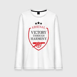 Мужской лонгслив Arsenal: Victory Harmony