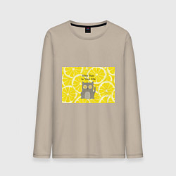 Лонгслив хлопковый мужской More Sun In Your Life, цвет: миндальный