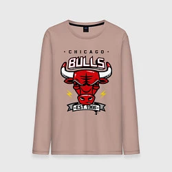 Лонгслив хлопковый мужской Chicago Bulls est. 1966, цвет: пыльно-розовый