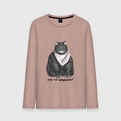 Мужской лонгслив Есть покушать?