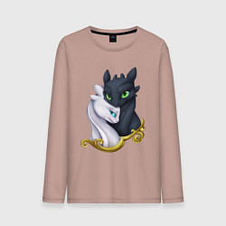 Мужской лонгслив Дневная и ночная фурия