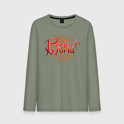 Мужской лонгслив Perfect World