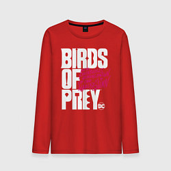 Мужской лонгслив Birds of Prey logo