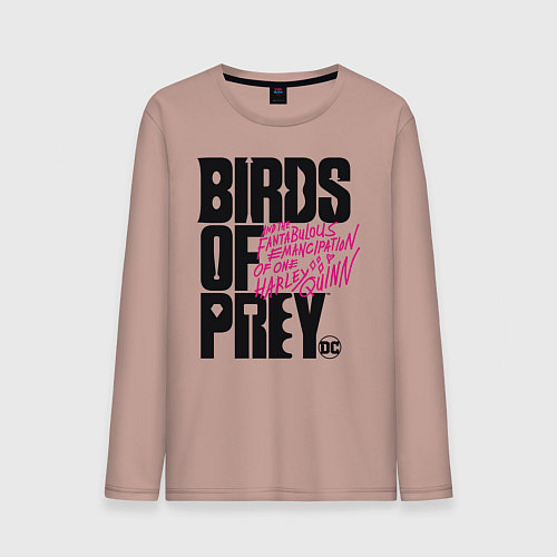 Мужской лонгслив Birds of Prey logo / Пыльно-розовый – фото 1