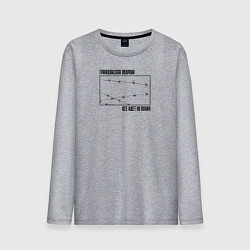 Мужской лонгслив Все идет по плану