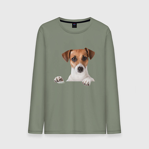 Мужской лонгслив Собака / Авокадо – фото 1