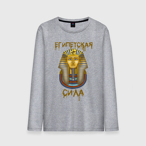 Мужской лонгслив Египетская Сила / Меланж – фото 1