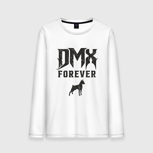 Мужской лонгслив DMX Forever / Белый – фото 1