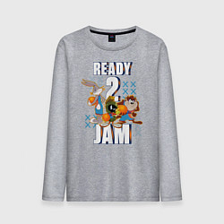 Мужской лонгслив Ready 2 Jam