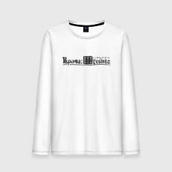 Мужской лонгслив Врата Штейна логотип