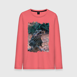 Лонгслив хлопковый мужской Дракон ест кузнечика, цвет: коралловый