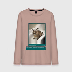 Лонгслив хлопковый мужской Шлёпа, цвет: пыльно-розовый