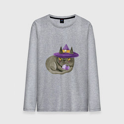 Лонгслив хлопковый мужской Котик МЯУ и волшебная сфера, цвет: меланж