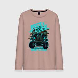 Мужской лонгслив Авто чемпион дорог