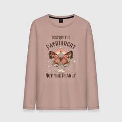 Мужской лонгслив Destroy the Patriachy