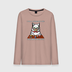 Мужской лонгслив Я рассказал химический анекдот, реакции не было