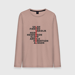 Мужской лонгслив Liverpool Players