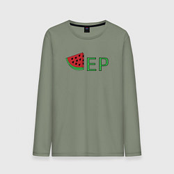 Мужской лонгслив Арбузер DR Абьюзер