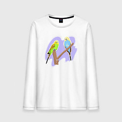 Лонгслив хлопковый мужской Волнистыи попугай Птицы, цвет: белый