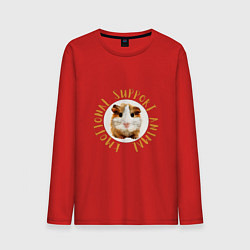 Мужской лонгслив Хомяк эмоциональной поддержки